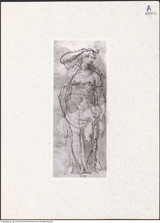 Vorderseite von bh343920_recto