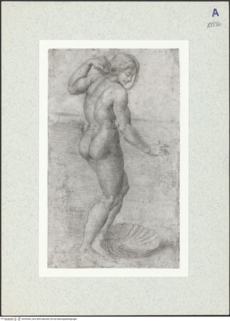 Vorderseite von bh343946_recto