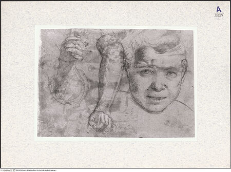 Vorderseite von bh343963_recto