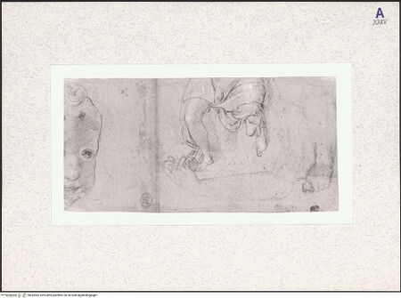 Vorderseite von bh343965_recto