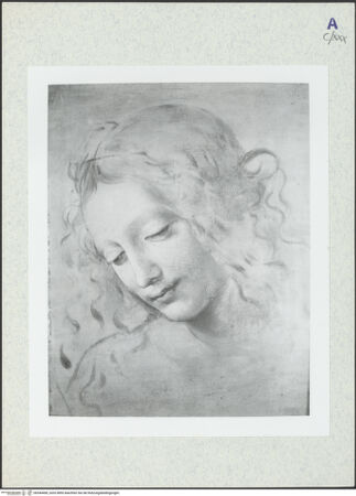 Vorderseite von bh344400_recto