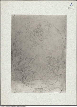 Vorderseite von bh344503_recto