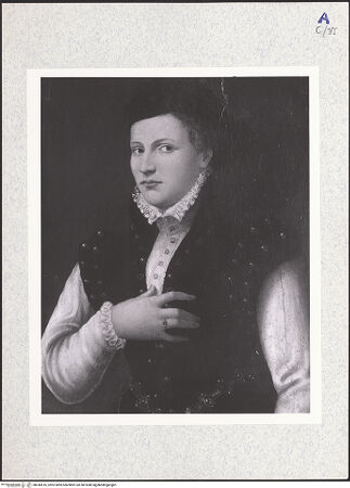 Vorderseite von bh344516_recto