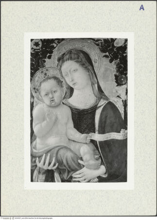 Vorderseite von bh344527_recto