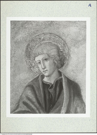 Vorderseite von bh344529_recto