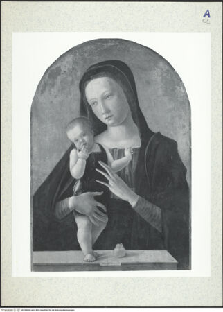 Vorderseite von bh344600_recto