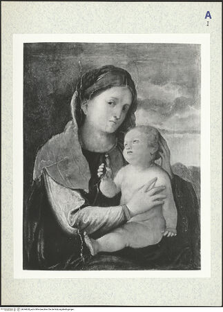 Vorderseite von bh344628_recto