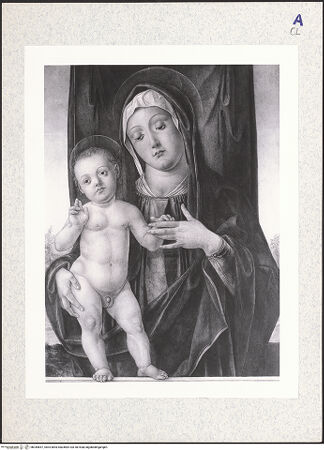 Vorderseite von bh344657_recto