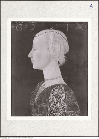 Vorderseite von bh344748_recto