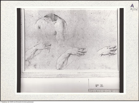 Vorderseite von bh344891_recto