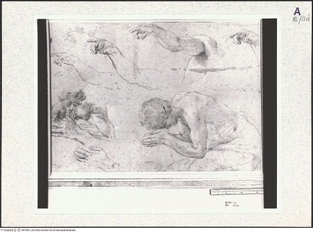 Vorderseite von bh344901_recto