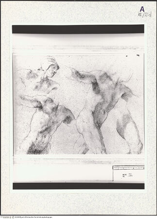 Vorderseite von bh344908_recto