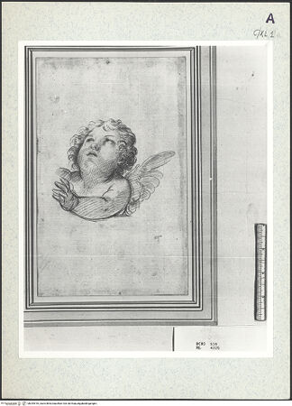 Vorderseite von bh344916_recto