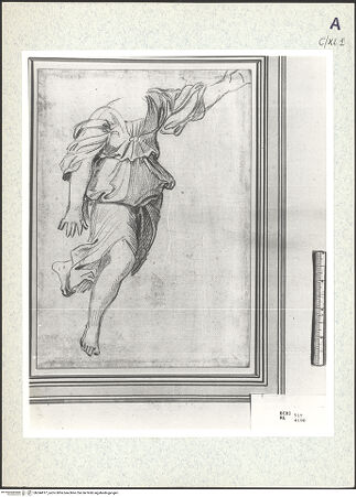 Vorderseite von bh344917_recto