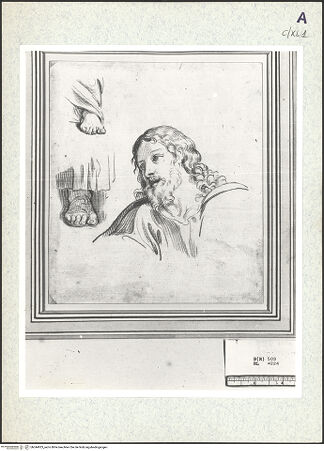 Vorderseite von bh344923_recto