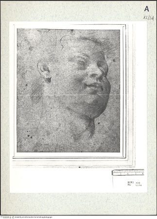 Vorderseite von bh344928_recto