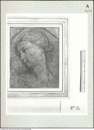 Vorderseite von bh344929_recto