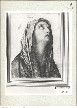 Vorderseite von bh344932_recto