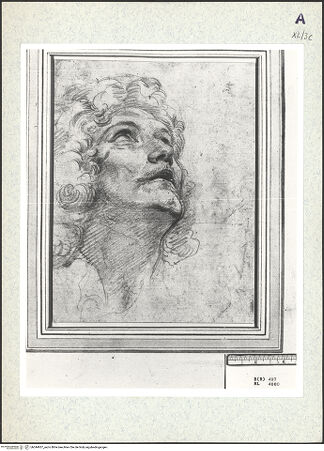 Vorderseite von bh344937_recto