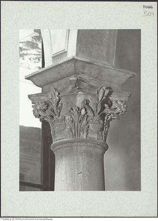 Vorderseite von bh345029_recto