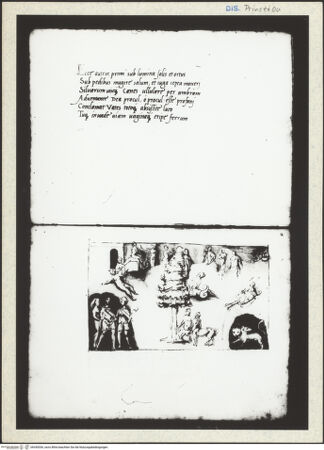 Vorderseite von bh345036_recto