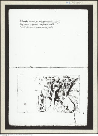 Vorderseite von bh345048_recto