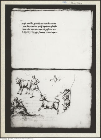 Vorderseite von bh345076_recto