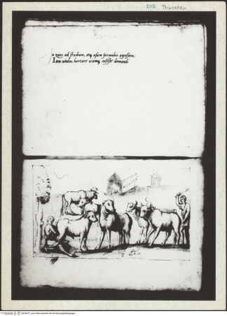 Vorderseite von bh345077_recto