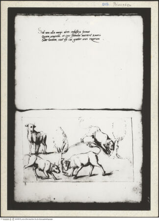 Vorderseite von bh345078_recto