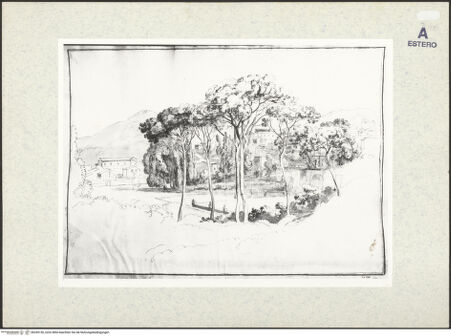 Vorderseite von bh345150_recto