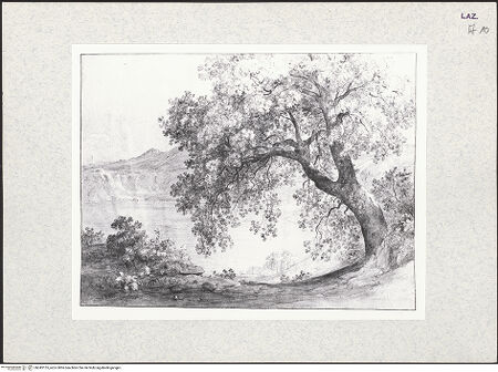 Vorderseite von bh345155_recto