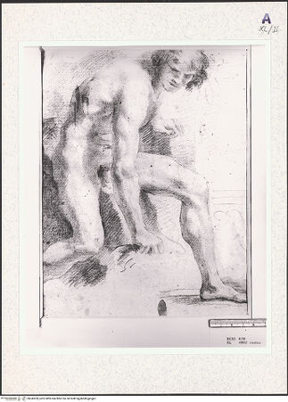 Vorderseite von Getty Research Institute? [https://www.deutsche-digitale-bibliothek.de/content/lizenzen/rv-fz/] Portal mit thronender Maria, Propheten mit Spruchbändern und musizierenden Engeln - Archivolten links, Detail: drei musizierende Engel und drei Propheten, bh345309_recto. Foto: Hutzel, Max.