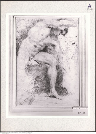 Vorderseite von Getty Research Institute? [https://www.deutsche-digitale-bibliothek.de/content/lizenzen/rv-fz/] Portal mit thronender Maria, Propheten mit Spruchbändern und musizierenden Engeln - Detail: Archivolten rechts, bh345310_recto. Foto: Hutzel, Max.