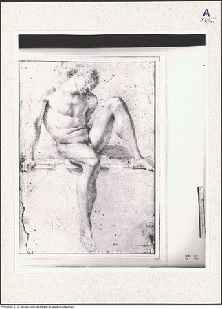 Vorderseite von Getty Research Institute? [https://www.deutsche-digitale-bibliothek.de/content/lizenzen/rv-fz/] Portal mit thronender Maria, Propheten mit Spruchbändern und musizierenden Engeln - Detail: Archivolten links, bh345311_recto. Foto: Hutzel, Max.