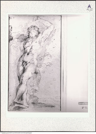 Vorderseite von bh345315_recto