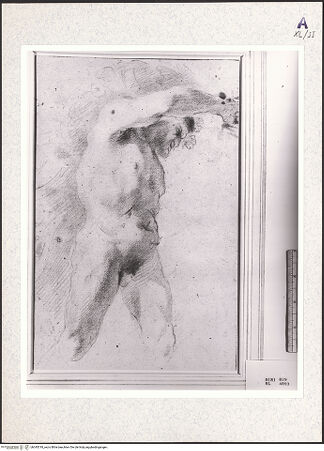 Vorderseite von bh345318_recto