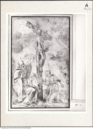 Vorderseite von bh345347_recto