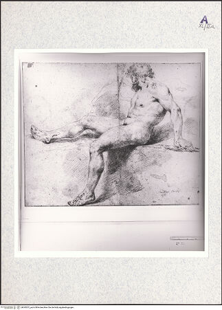 Vorderseite von bh345351_recto