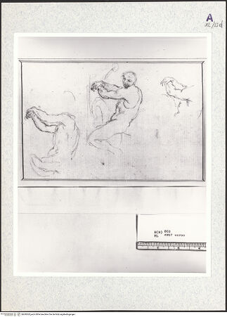 Vorderseite von bh345363_recto