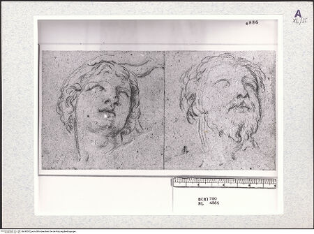 Vorderseite von bh345382_recto