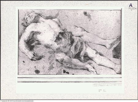 Vorderseite von bh345418_recto