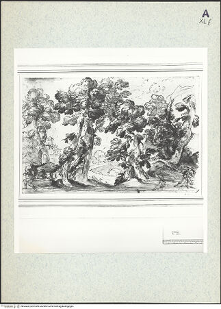 Vorderseite von bh345438_recto