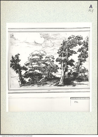 Vorderseite von bh345439_recto