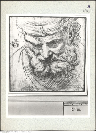 Vorderseite von bh345441_recto