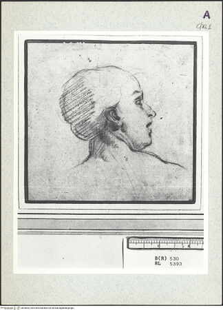 Vorderseite von bh345442_recto