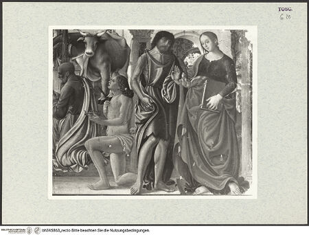 Vorderseite von bh345863_recto