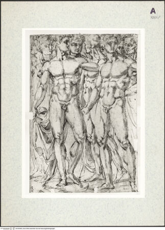 Vorderseite von bh345985_recto