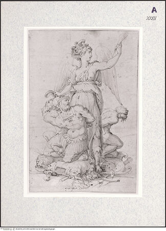 Vorderseite von bh345993_recto