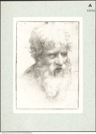 Vorderseite von bh346003_recto