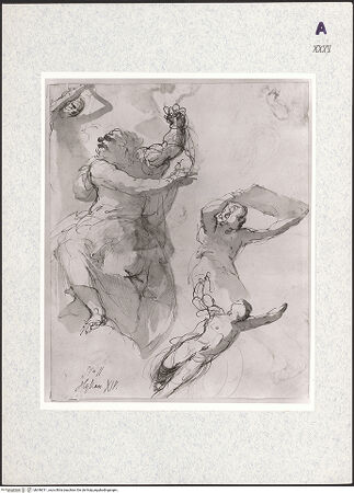 Vorderseite von bh346011_recto